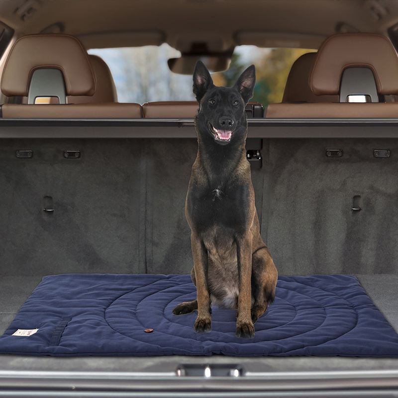 Alas hewan peliharaan portabel - Outdoor Rug Waterproof ulasan dan harga